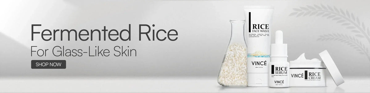 Best Rice Range Bundles in Pakistan by VINCE