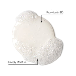Deep Moisture Shampoo