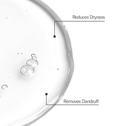 Sulfate-Free Ginger Shampoo