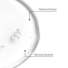 Sulfate-Free Ginger Shampoo